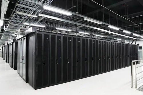 石家莊企業榮膺全國數字化轉型伙伴行動首批倡議方，數據處理服務成關鍵引擎